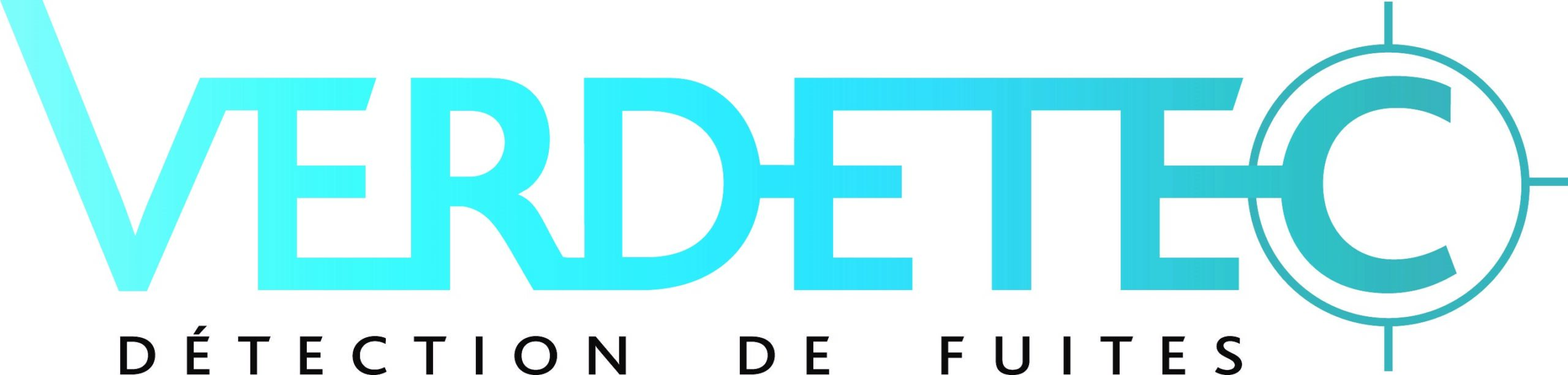 VERDETEC - Logo